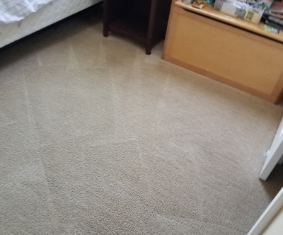 Carpet, Tile, & Upholstery Cleaning
