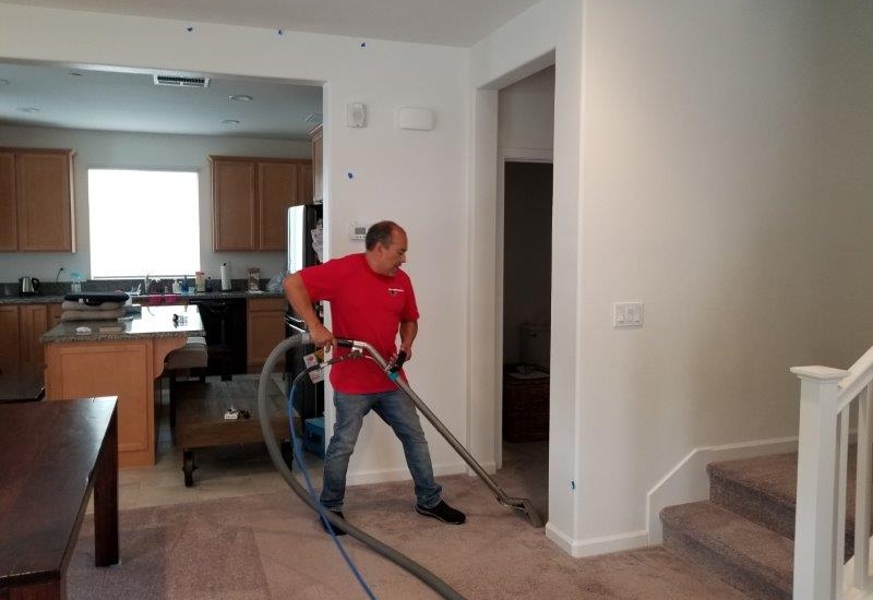 Carpet and Area Rug Cleaning